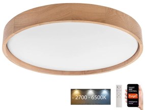 Brilagi Brilagi - MANAROLA SMART LED mennyezeti lámpa 36W/230V + Tuya távirányító BG0485