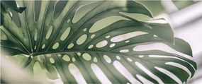 Kép - Szörnyek listája (120x50 cm)