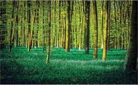 Fotótapéta Zöld erdő Kék virágok és erdei zöld 200x140 +ragasztó