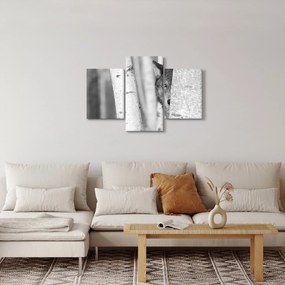 Kép - Farkas az erdőben (90x60 cm)