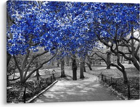 Kép - Kék fák, Central Park, New York (70x50 cm)