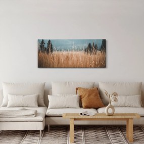 Kép - réti növényzet részlete (120x50 cm)