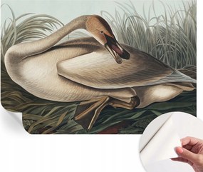 Modern ĂntapadĂłs FotĂłtapĂ©ta MoshatĂł TermĂ©szetes madĂĄr 152x104 cm