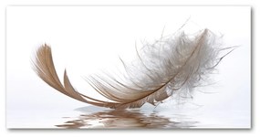 Akrilkép Feather víz oah-77181591