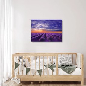 Egy levendula mező képe (üvegen) (70x50 cm)