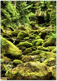 Poszterek 70x100 Tátra Lengyel hegyek Kilátás