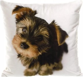 Velúr párnahuzat 40x40 cm Színes Kutya Dekoratív Párnahuzat