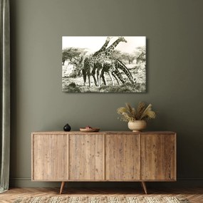 Kép - Zsiráfok, vintage (90x60 cm)