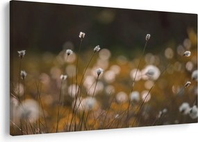 Kép - Gyapotfűvel borított rét N⁰2 (90x60 cm)