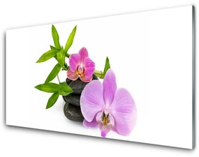 Üvegkép falra Virág orchidea növény 100x50 cm 2 fogas