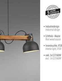 Paul Neuhaus loft függeszték cup 2.0 fekete fa pln15743-18