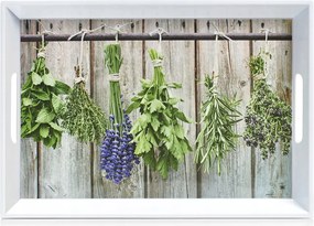 Zeller, "herbs" tálca, 50x35x5cm