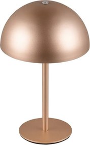 Trio MUNOZ R54891165 Asztali lámpa 1x1.3w/led 3000k 120lm ip20