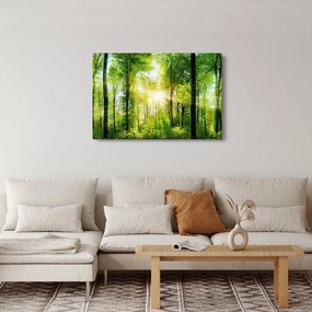 Kép - Hajnal az erdőben (90x60 cm)