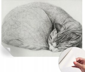 Design fali fotótapéta öntapadós összecsukható macska 312x219 cm