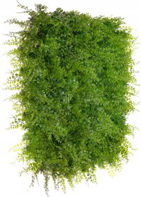 Páfrány mesterséges sűrű dekorációs panel mesterséges növények szőnyeg gyártó