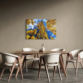 Kép - Aspen (90x60 cm)