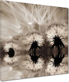 Vászonkép 90x90 Pitypangok szépia papírsárkányok