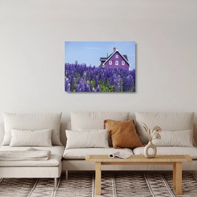 Levandula mező képe (üvegen) (70x50 cm)