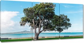 Vászonkép 150x70 Magányos fa