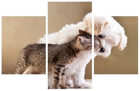 Macska és kutya képe (90x60 cm)