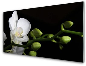 Modern üvegkép Természet virág növény 125x50 cm
