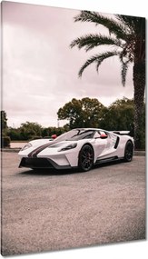 Vászonkép 80x120 Ford autó