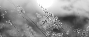 Kép - Őszi rét (120x50 cm)