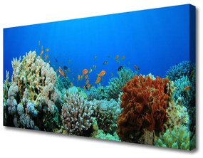 Vászonkép Barrier Reef Nature 125x50 cm