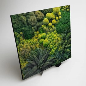 DUBLEZ | Dekoratív kép moha - Lélegzet