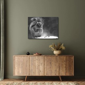 Kép - Mókus télen (70x50 cm)