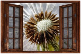 Poszterek 90x60 Pitypang Virág Virágok