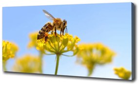 Egyedi vászonkép Méh a virágon oc-83831573