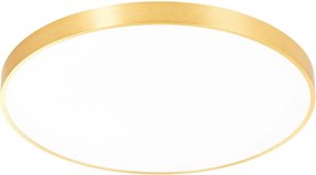 ZUMA LINE CL12100009-GD SIERRA Kerek Mennyezeti Lámpa Csiszolt Arany LED IP20