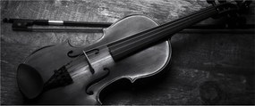 Kép - Viola (120x50 cm)