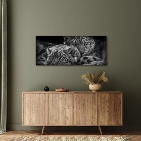 Kép - Pihenő gepárdok (120x50 cm)
