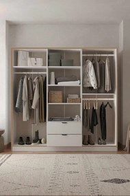 Arden 6