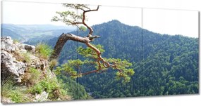 Vászonkép 60x30 Magányos fa