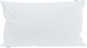 vidaXL Párna párnával 2 pcs Fehér 40 x 80 cm Toll