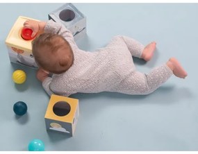 Taf Toys - Interaktív játékkészlet Északi-sark