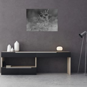 Üveg kép - Vidéki rét (70x50 cm)