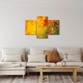 Kép - Őszi levelek (90x60 cm)