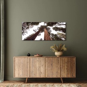 Kép - Kilátás a fák között (120x50 cm)