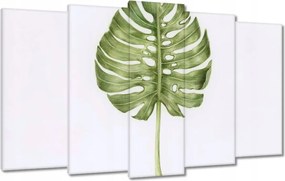 Vászonkép 100x60 Monsera levél lyukas