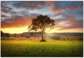 Poszterek 155x105 Varázslatos tájkép