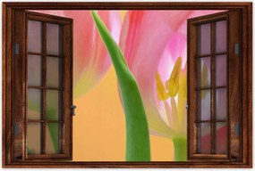 Poszterek 90x60 Rózsaszín tulipánok