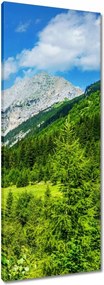 Vászonkép 40x100 Hegyi táj gyönyörű felhőkkel Fák a hegyekben