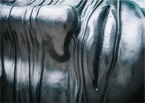 Kép - Acél arc (70x50 cm)