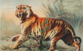 Dekoratív fotótapéta falra Könnyű összeszerelés Tigris természet 416x254 Ragasztó