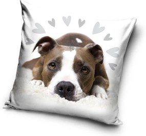 Kutyás Pit Bull Terrier Cute párnahuzat 40x40 cm